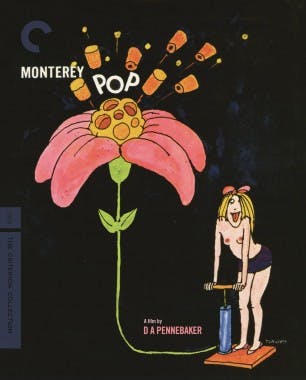 Criterion cover art for Monterey Pop