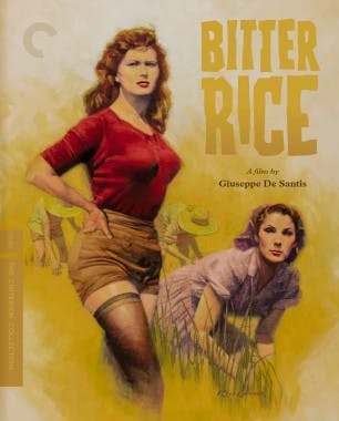 Criterion cover art for Bitter Rice