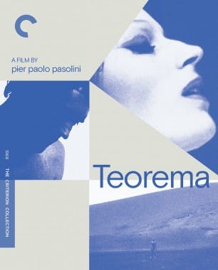 Criterion cover art for Teorema