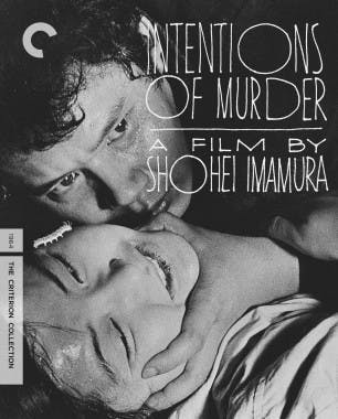 Criterion cover art for Intentions of Murder