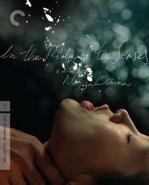 Criterion cover art for In the Realm of the Senses