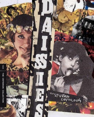 Criterion cover art for Daisies