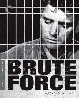 Criterion cover art for Brute Force