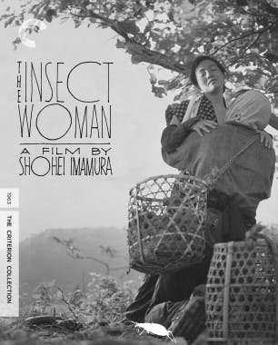 Criterion cover art for The Insect Woman