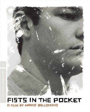 Criterion cover art for Fists in the Pocket