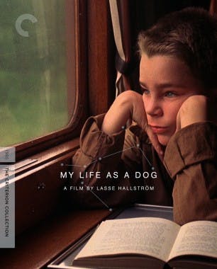 Criterion cover art for My Life as a Dog