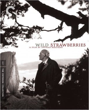 Criterion cover art for Wild Strawberries