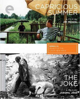 Criterion cover art for Capricious Summer