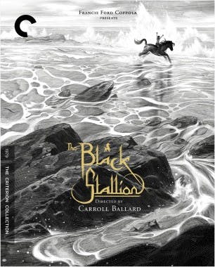 Criterion cover art for The Black Stallion