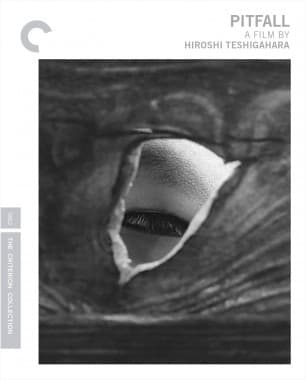 Criterion cover art for Pitfall