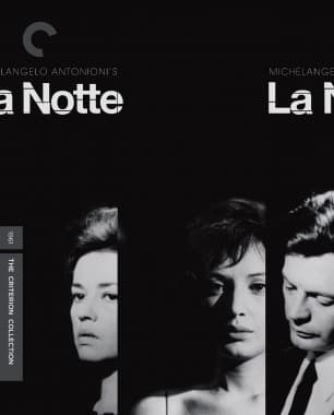 Criterion cover art for La notte