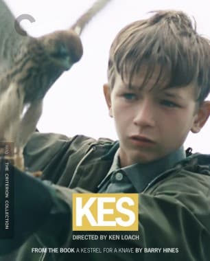 Criterion cover art for Kes
