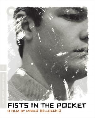 Criterion cover art for Fists in the Pocket