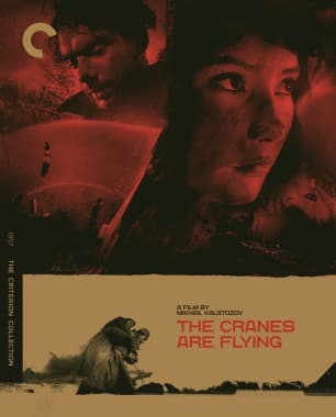 Criterion cover art for The Cranes Are Flying